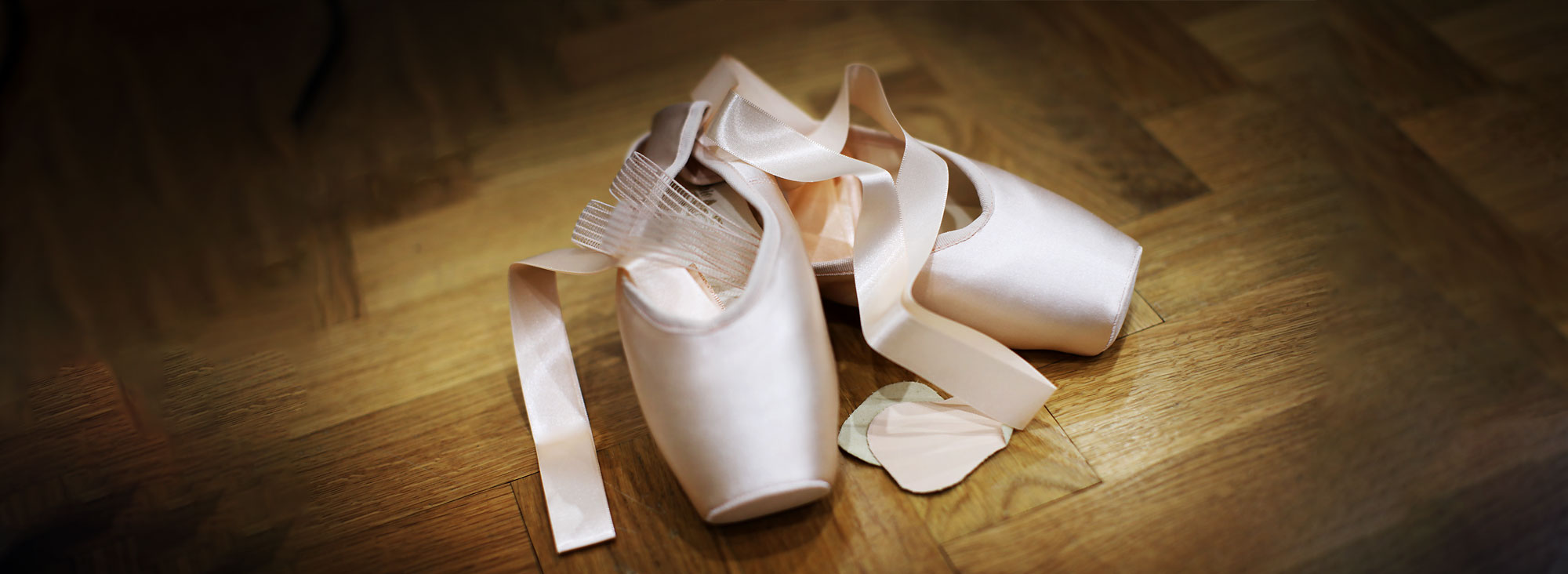 2 Elastics + Satin Ribbon – The Pointe Shop